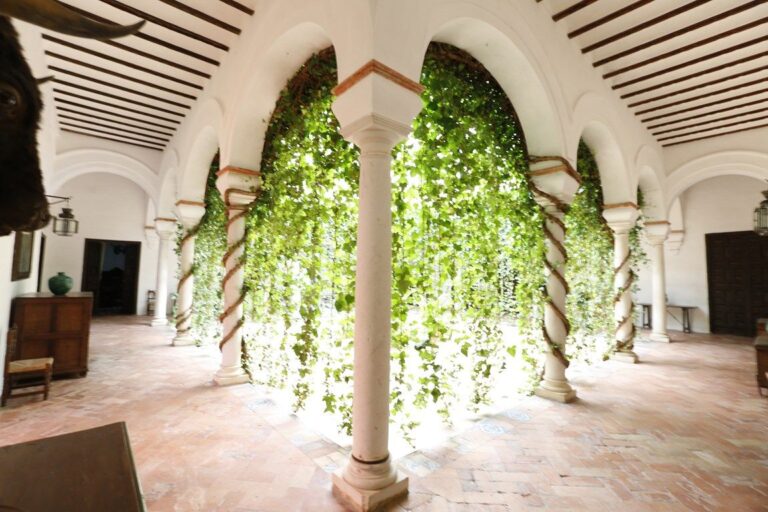 Una casa-palacio de estilo barroco original del SXVI en el centro de Carmona
