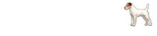 casas-en-el-sur-logotipo