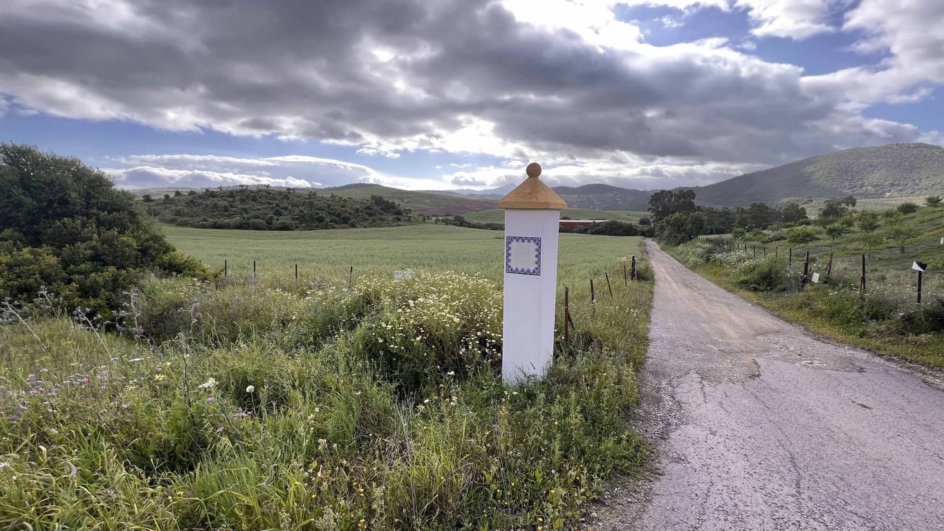 Cortijo del SXVIII sierra de grazalema en venta camino de entrada