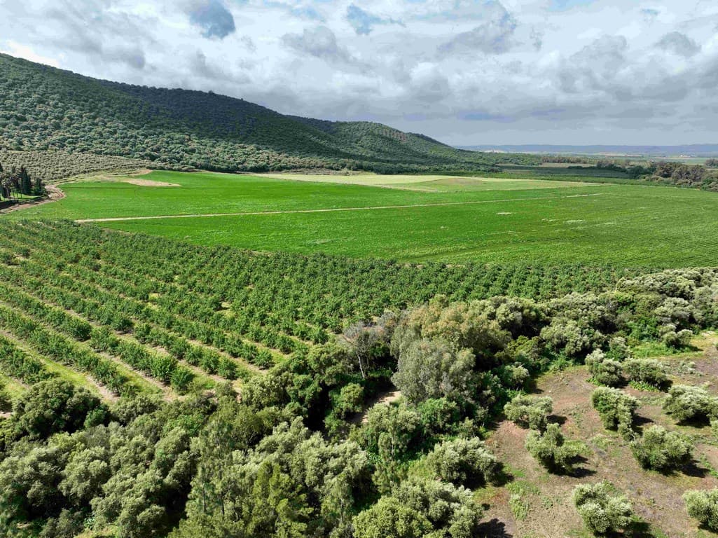Cortijo del SXVIII sierra de grazalema en venta campo de cultivo
