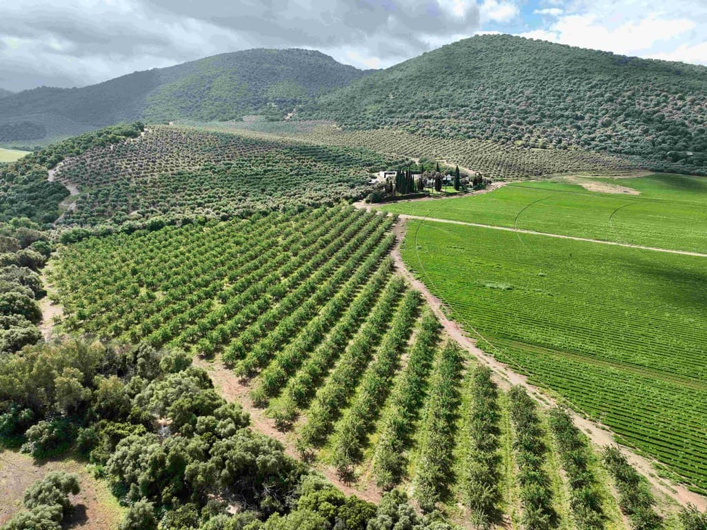 Cortijo del SXVIII sierra de grazalema en venta campo