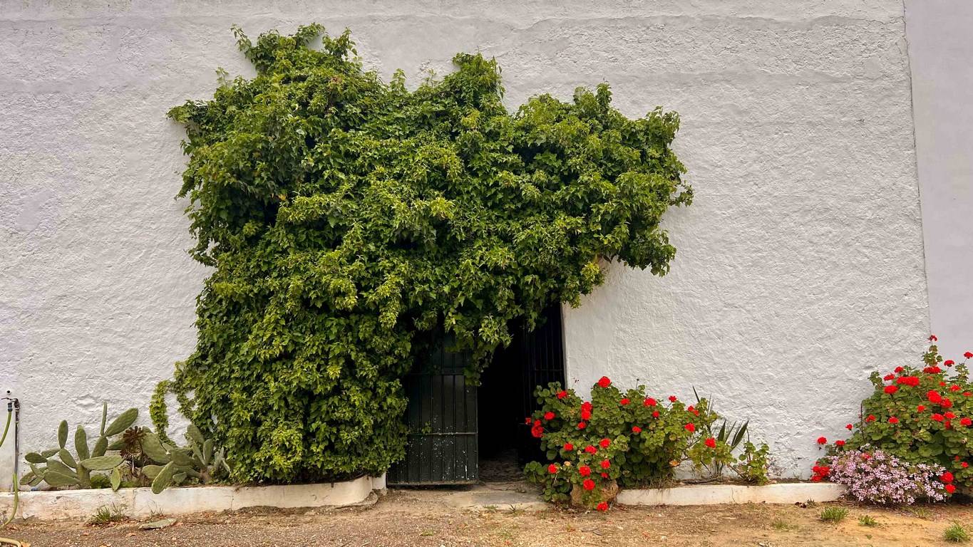 Cortijo del SXVIII sierra de grazalema en venta puerta