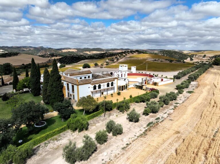 Una bonita finca mixta de 415 has. con dehesa, tierra de labor secano y olivar de monte a 1 h de Sevilla