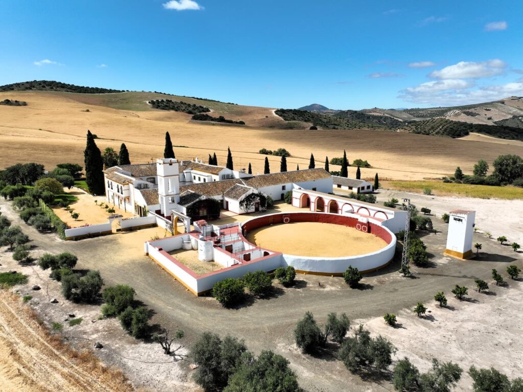 Una-bonita-finca-mixta-de-415-has