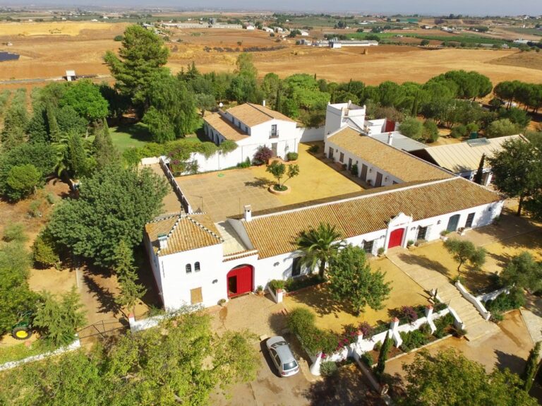 Hacienda de olivar original del SXVIII con 38 has. de terreno adaptada a la celebración de eventos a 20’ del aeropuerto de Sevilla.