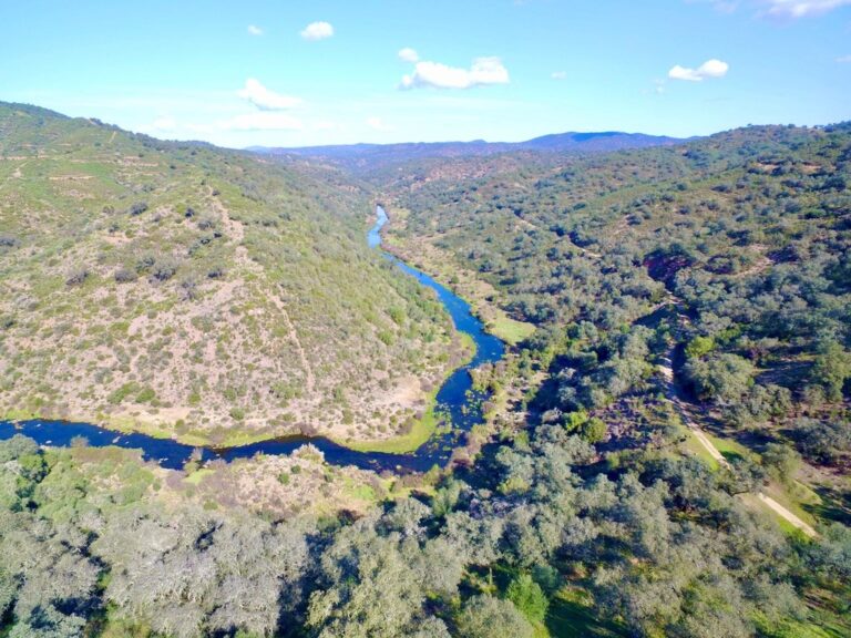 Dehesa de 153 has. junto al pantano de La Minilla, a 50′ de Sevilla