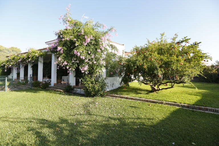 Una casa con gran parcela de 5.000 m2, piscina y jardín en las afueras del Puerto de Santa María