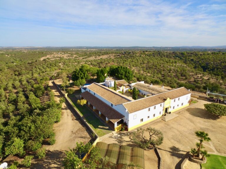 Una bonita finca familiar de 89 has. con 7 viviendas independientes y 23 dormitorios a 1/2 h de Sevilla