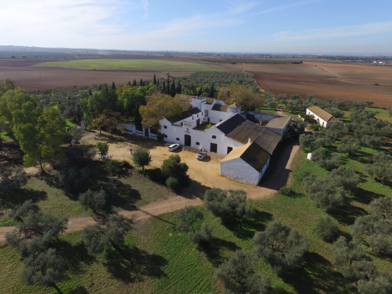 Hacienda del S XVIII a 10′ del aeropuerto de Sevilla