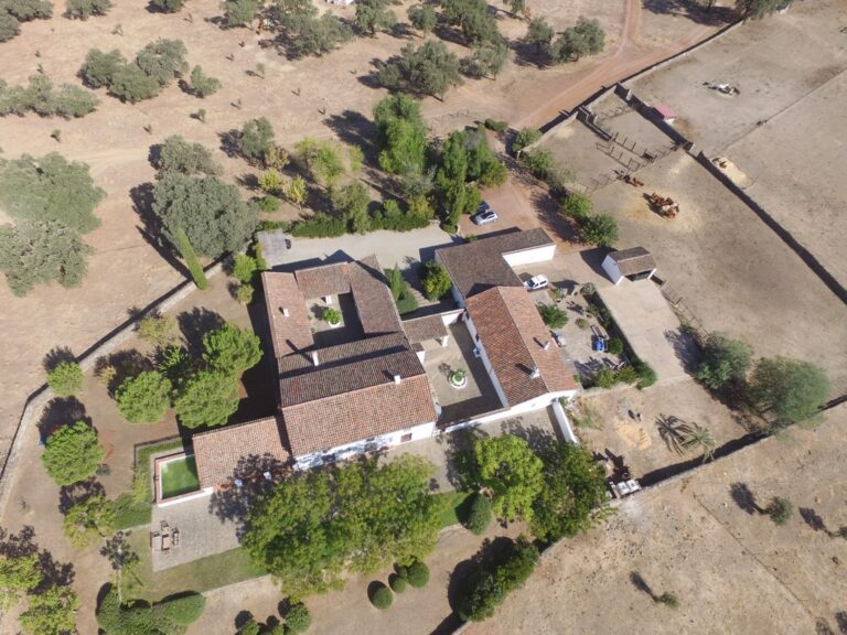 Dehesa de 400 has. mallada cinegéticamente con una preciosa vivienda de Señores a 50’ de Sevilla por autovía