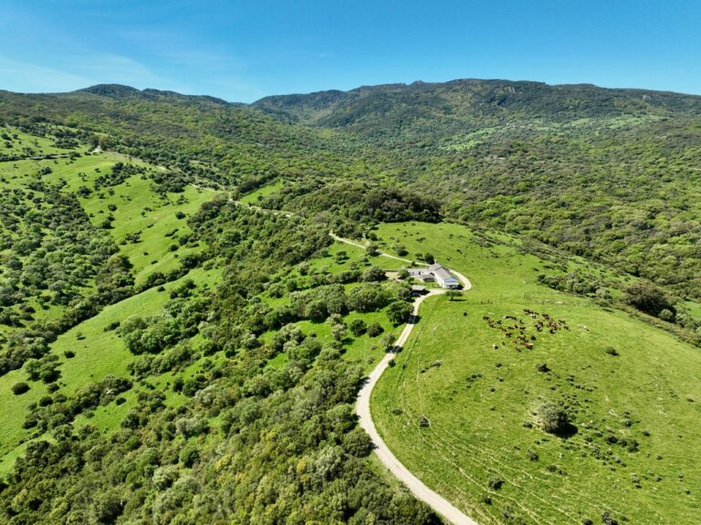 Dehesa de 130 has. en el corazón del Parque Natural de los Alcornocales