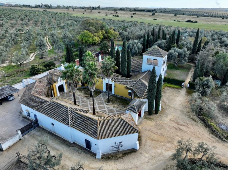 Una bonita hacienda con 8 has. de olivar, original de J. de Bethencourt, a 10′ de Sevilla