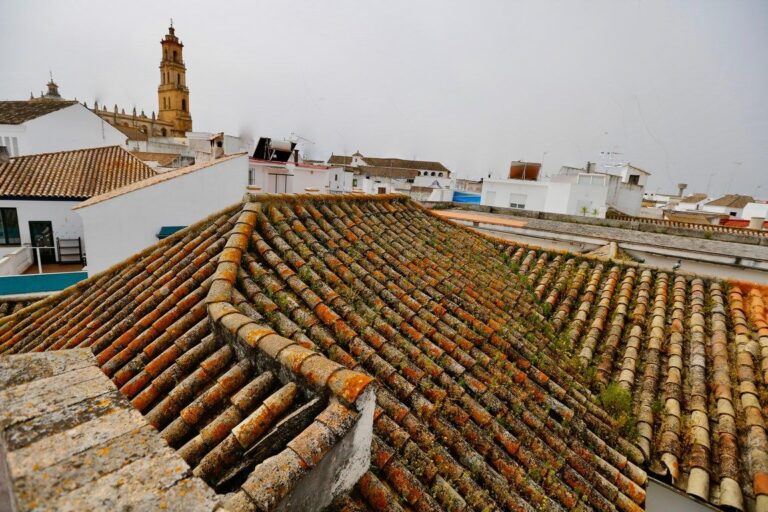 Una gran casa con varios patios y cuadras, original del SXVII, en el centro de Utrera