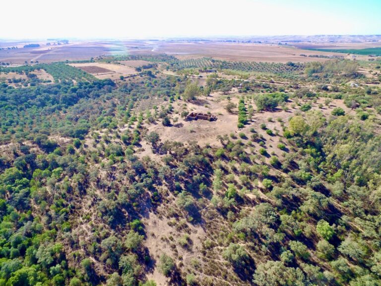 Una dehesita de 30 has. junto al yacimiento pre-romano de Tejada la Vieja, justo entre Sevilla y Huelva