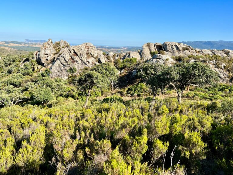 Una bonita finca de 265 has. en el Parque Natural de los Alcornocales con vistas al Estrecho de Gibraltar