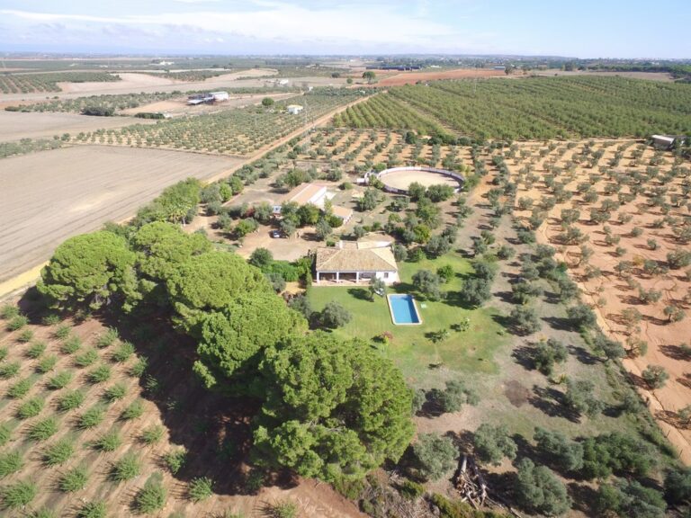 Casa con jardín y piscina, cuadras con boxes y plaza de tientas junto a Sevilla
