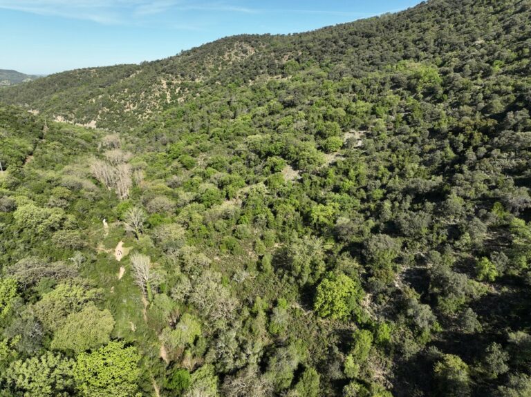 Un rincón mágico y con muchísima agua en la Sierra de Grazalema en Cádiz