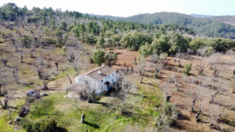 Una casa con encanto en medio de un castañar soberbio entre Galaroza, Jabugo y Castaño del Robledo