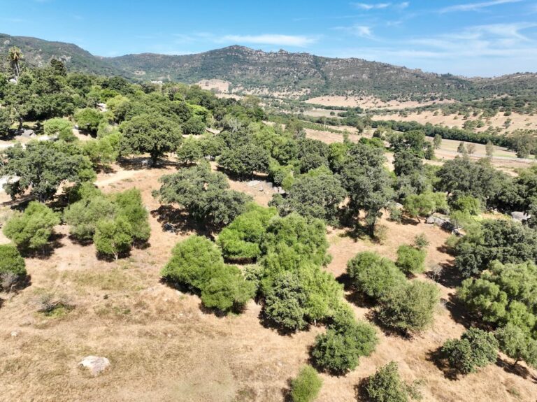 Coto de caza mayor de 2.000 has. en el Parque Natural de los Alcornocales