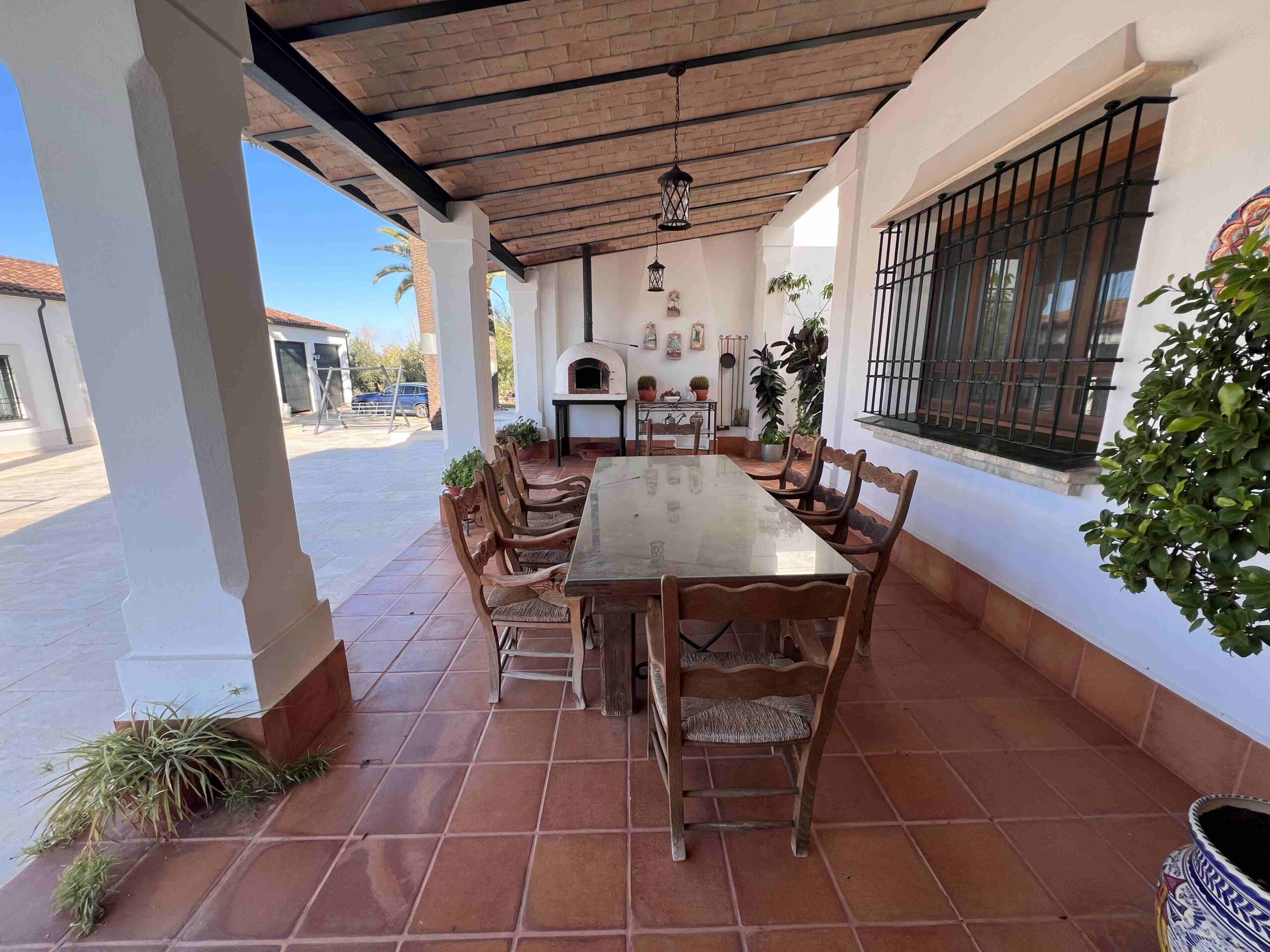 23