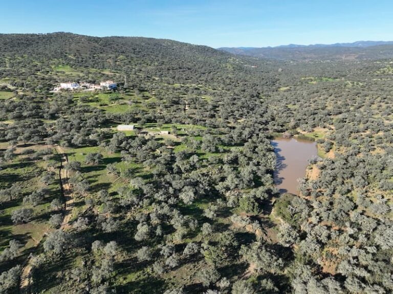 Dehesa de 400 has. con una gran casa bien equipada en la Sierra de Aracena
