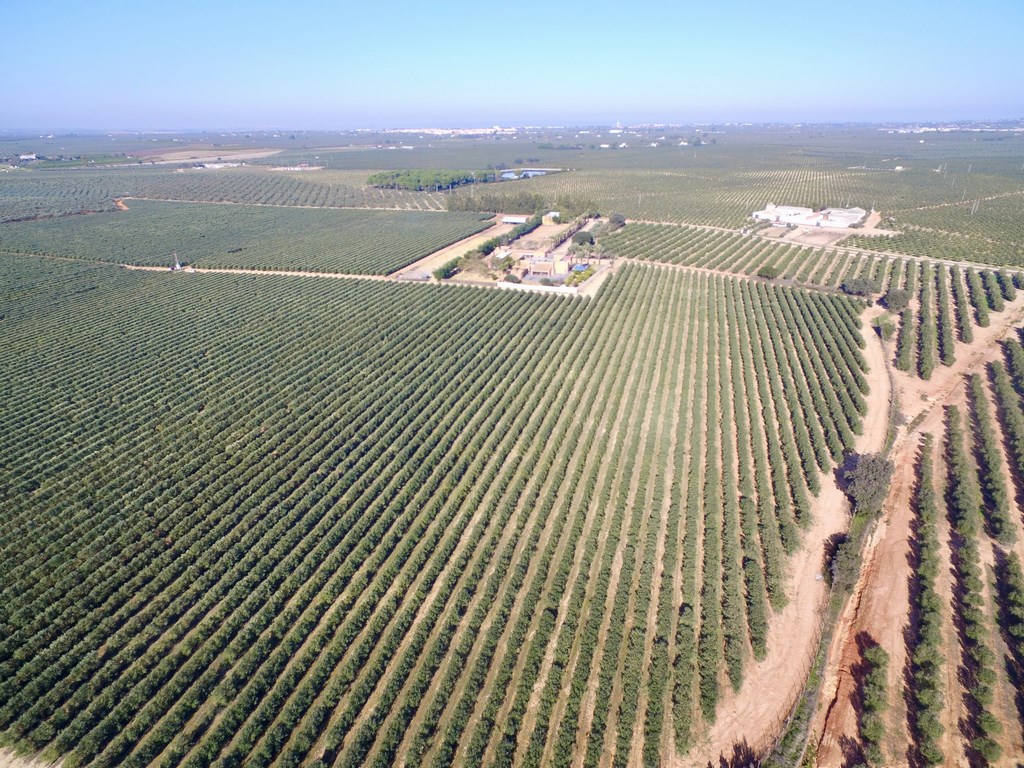 DCIM\100MEDIA\DJI_0021.JPG