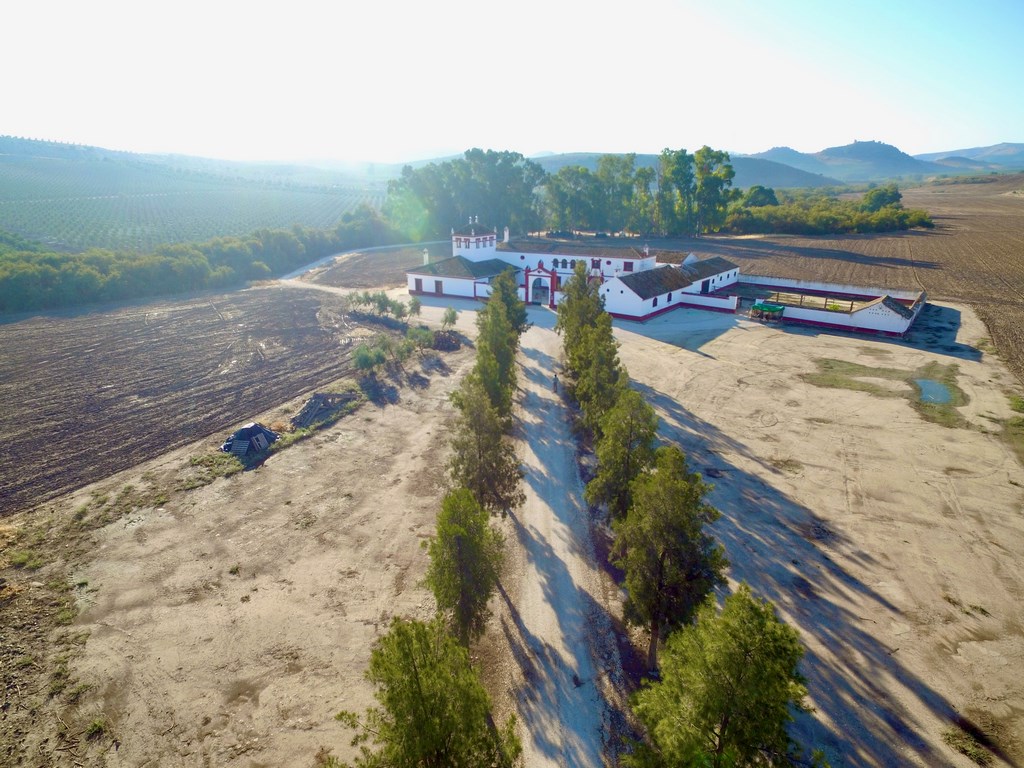 DCIM\100MEDIA\DJI_0013.JPG